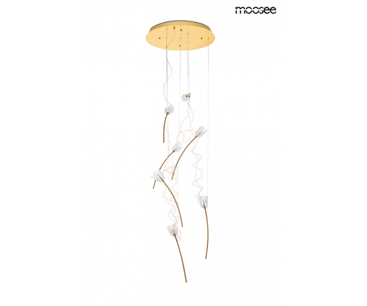 MOOSEE lampa wisząca TULIPPE 7 DISC złota